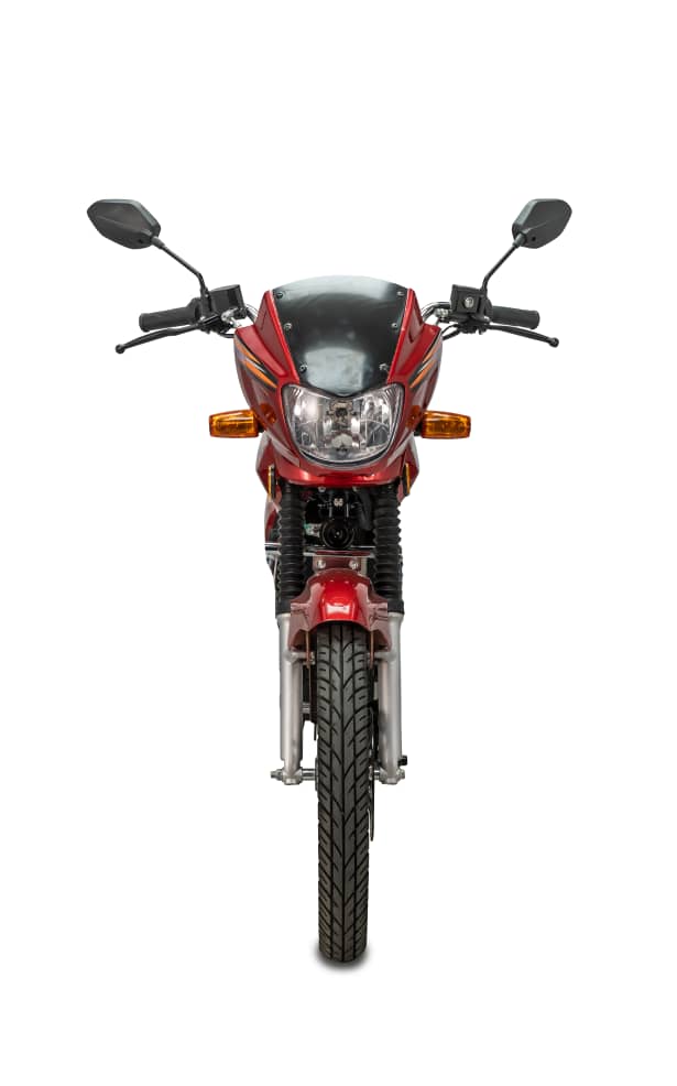 Electric Bike 1