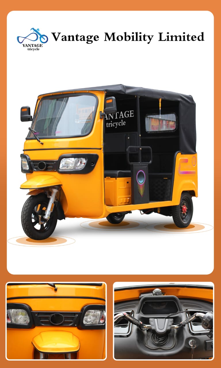 Electric Bike 20