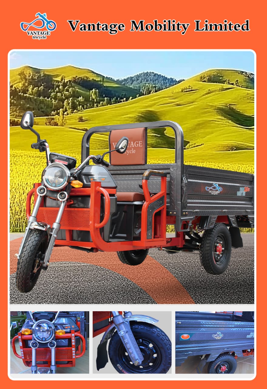 Electric Bike 20