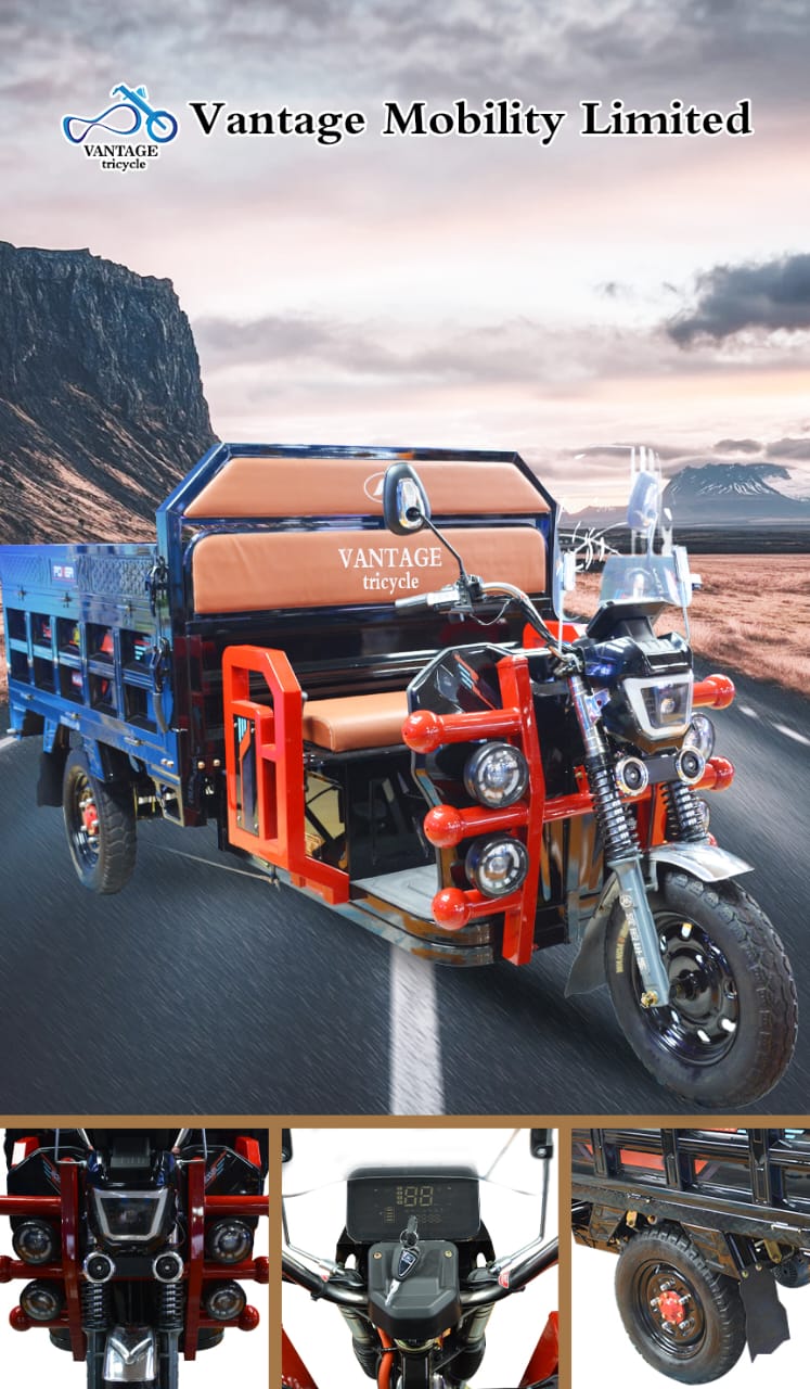 Electric Bike 20