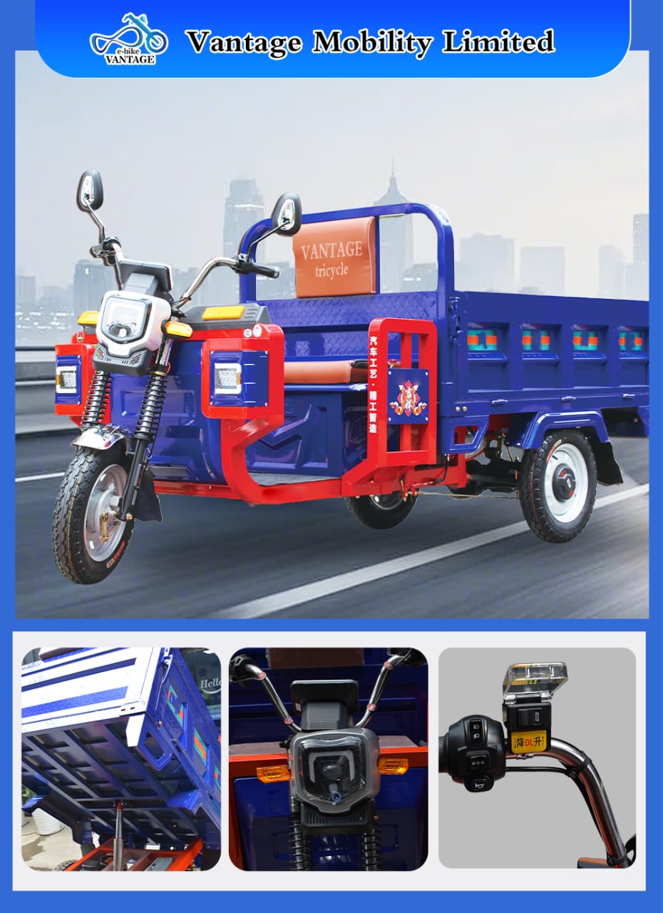 Electric Bike 20