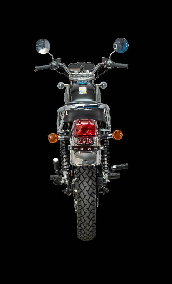 Electric Bike 6